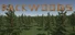 Backwoods Town