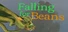 Falling for Beans