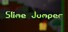Slime Jumper