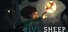 Blue Sheep