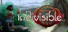 Indivisible