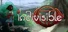 Indivisible