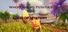 Where are my potatoes 2: Land Of Mystery