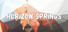 Horizon Springs