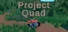 Project Quad