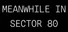 MEANWHILE IN SECTOR 80