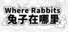 Where Rabbits 兔子在哪里