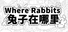 Where Rabbits 兔子在哪里