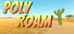 Poly Roam