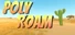 Poly Roam
