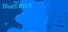 Bluethroot
