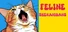 Feline Shenanigans