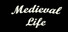 Medieval Life: Chronicles Of Annora