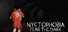 Nyctophobia: Fear the Dark