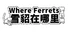 Where Ferrets 雪貂在哪里