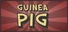 Guinea Pig