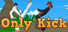 Only Kick