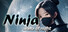 Ninja - waltz of night