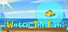 Watch The Fish