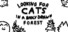 Looking For Cats In a Badly Drawn Forest