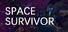 Space Survivor