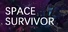 Space Survivor