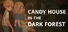 Candy House in the Dark Forest