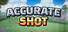 Accurate Shot