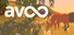 Avoo