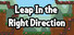 Leap In The Right Direction