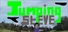 Jumping Steve