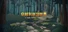 穿越迷宫世界  Cross the Maze World