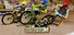 Speedway Challenge 2024
