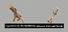 Hypotheses on the Symmetry between Vision and Hands