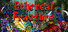 Ethereal Fracture