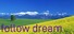 follow dream
