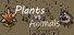 植物战争:基因狂潮 Plants vs Animals