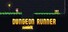 Dungeon Runner