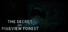 The Secret of Pineview Forest