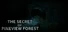 The Secret of Pineview Forest