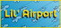 Lil' Airport