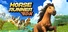 Horse Runner DX