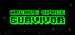Arcade Space Survivor
