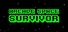 Arcade Space Survivor
