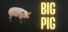 Pih