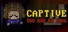 Captive: You Are My Idol