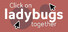 Click on ladybugs together