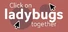Click on ladybugs together
