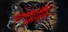 Screaming Savage Blood Death