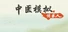中医模拟传承人